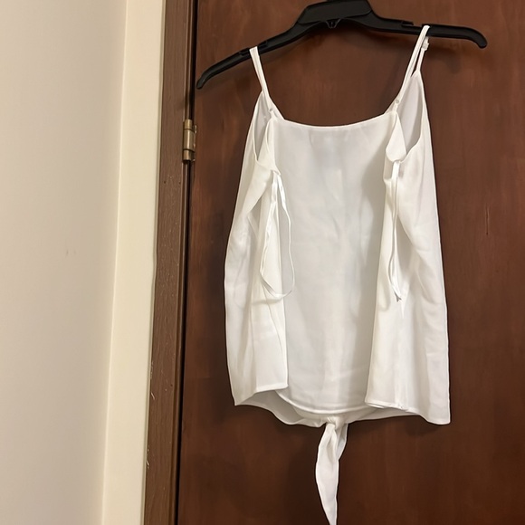 Naked Zebra Camisole Top - Picture 2 of 3